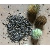 云南昭通續(xù)段種苗價格/昭通重樓、半夏等品種