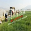 大理祥云每天2.7元/畝土地出租