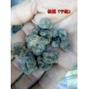 云南黑松露：087164155848松露傳說