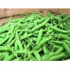 長壽仁豌豆怎么樣?長壽仁豌豆屬甜豆@長壽仁豌豆種子效益分析