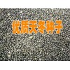 云南三百棒(天冬)銷售*天冬種植戶出售天門冬種子