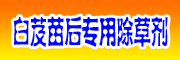 白芨苗后專用除草劑