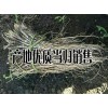 陜西/甘肅/湖北當歸批發種苗%今日當歸種苗銷售批發多少一斤