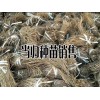 哪里的當歸品質比較好—產地當歸種苗批發銷售