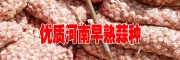 紅河哪有早熟蒜種？