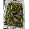 叉尾魚苗、丁桂魚魚苗、溝鯰魚苗6公分的什么價(jià)？