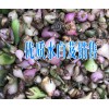 什么是水白芨藥材+云南水白芨圖片+現(xiàn)當?shù)匕总竷r格（統(tǒng)貨）在800元