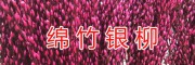 銀柳栽培價(jià)格技術(shù)*四川銀柳切枝栽培基地-綿竹銀柳