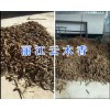 麗江云木香現貨出售/云南云木香價格-400-6633-626
