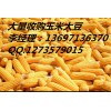 大量收購(gòu)玉米，收購(gòu)玉米價(jià)格，現(xiàn)金收購(gòu)玉米