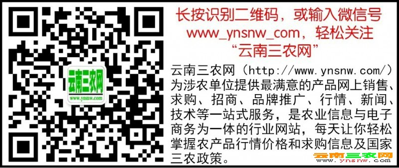 網站專用,二維碼