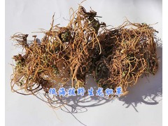 龍膽草價格-大理龍膽草批發/13577293119