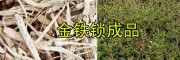 祿勸金鐵鎖種子-純度高、雜質少獨定子種子_昆明金鐵鎖供應