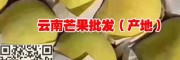 云南哪里批發芒果？—保山隆田農業開發有限公司