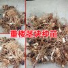 重樓種苗多少一個(gè)? 重樓種苗多少一斤?