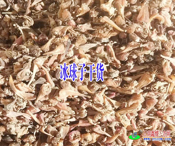 未標題-1