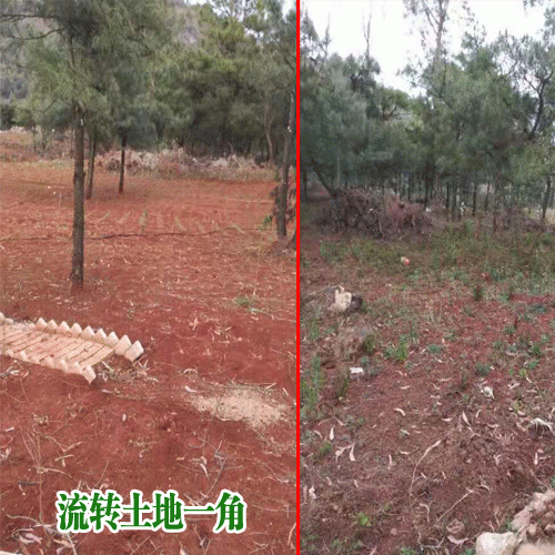 昆明城邊農(nóng)用土地多少錢一畝?(統(tǒng)計表)