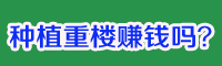 種植重樓賺錢嗎？