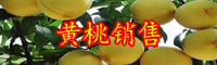 被稱為"養(yǎng)生之桃"的黃桃有哪些功效與禁忌？