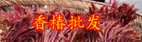“天下第一山珍”香椿是什么？多少錢一斤？