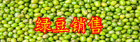 綠豆是寒性的蔬菜嗎？可以家庭種植嗎？