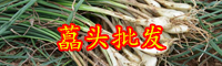 “菜中靈芝”藠頭是大蒜嗎？什么人不能吃？