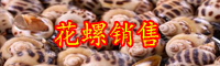 云南花螺價格多少錢一斤？要煮多長時間？
