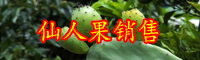 云南仙人果市場價格多少錢一斤？功效作用是什么？