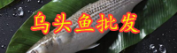 云南烏頭魚價格在多少錢一斤？垂釣時間在什么時候？