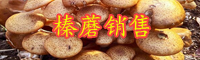 云南榛蘑多少錢一斤？有哪些功效和作用？