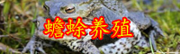 云南蟾蜍多少錢一斤？和青蛙有什么區別？