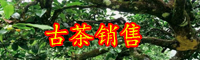 2019年云南古樹茶多少錢一斤？產地在哪里？