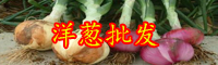 孟加拉國洋蔥漲9倍！為什么漲這么多？現在多少錢一斤？