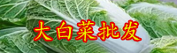 云南大白菜價格現低谷是什么情況？多少錢一斤？