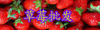 草莓近期價格為多少錢一斤？是什么季節的水果？