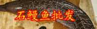 云南石鰻魚價格多少錢一斤？有哪些功效與作用？
