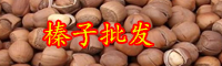 2019年云南榛子多少錢一斤？榛子苗的價格是多少？
