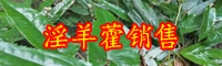 2019-2020年云南淫羊藿多少錢一斤？泡水喝有什么好處？