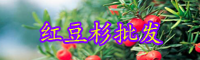 云南淺根植物紅豆杉樹苗多少錢一棵？怎么種植和養(yǎng)護(hù)？