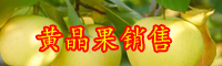 云南熱帶水果“黃晶果”種苗多少錢(qián)一棵？種植一畝的成本及利潤(rùn)是多少？