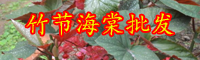 云南竹節(jié)海棠花苗價(jià)格多少錢(qián)一株？
