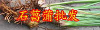 云南市面上石菖蒲種苗價(jià)格多少錢(qián)一棵？