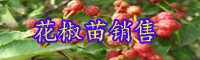 漲勢快的花椒樹苗價格多少錢一株？一畝地要栽種是多少株？