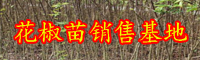 旱田合適種花椒樹嗎？種哪些種類好？何時種？如何種？
