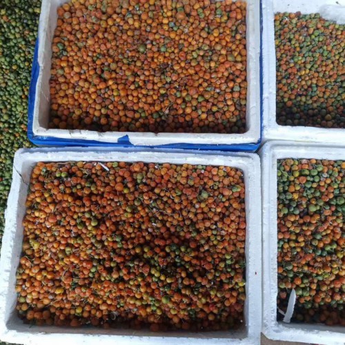 中藥材黃精價(jià)錢(qián)為是多少？它的作用與功效是啥？