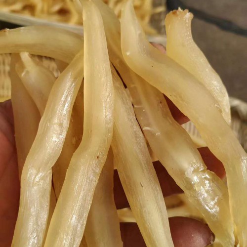 中藥材天冬栽種市場前景怎樣？成本費盈利大概多少錢一畝？中藥炮制方式與規范是啥？附獲得時間