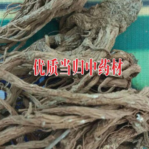 當歸價錢全新市場價格是如何？栽種生產量和經濟效益怎樣？