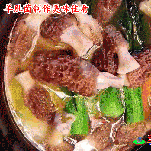 羊肚菌的功效_羊肚菌的營養價值