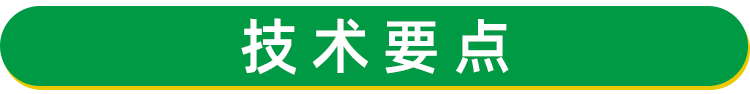天冬苗 天門冬種苗批發供應 天冬種苗價格 天冬種植 基地現挖現發