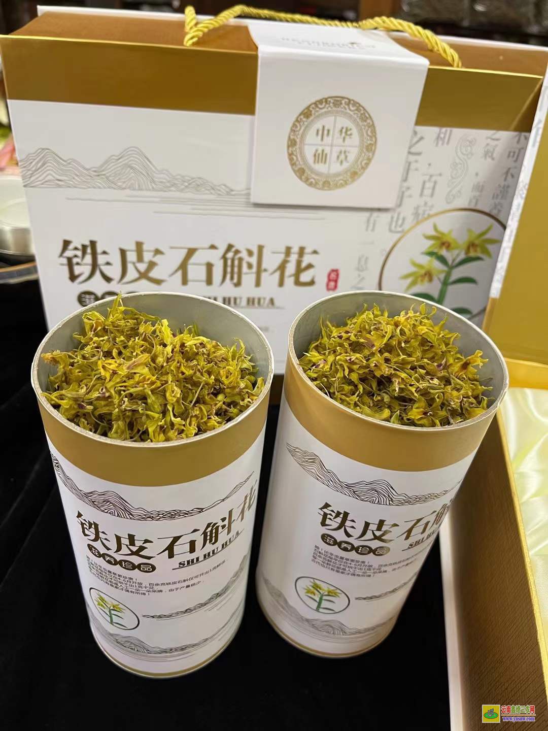 鐵皮石觸價格 石斛花價格表 鐵皮石斛多少一克